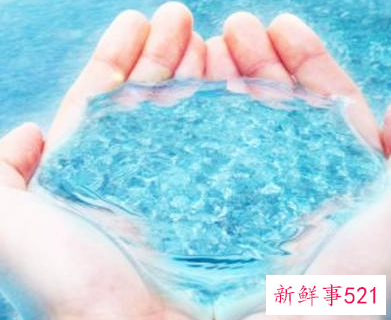 水瓶座猫咪性格