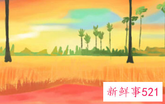 狮子座与射手座配吗