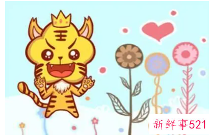 属虎的财运和运气如何