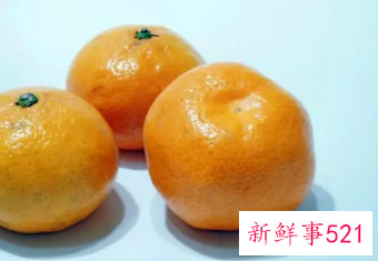 桔子大量保鲜储存方法