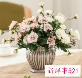 餐桌上适合摆放什么干花