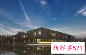 贸易公司名称大全集最新