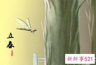 立春吃什么食物两个字