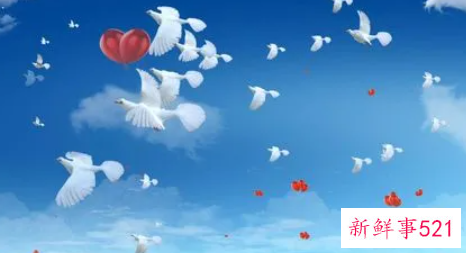 最in最时尚的女宝宝名字