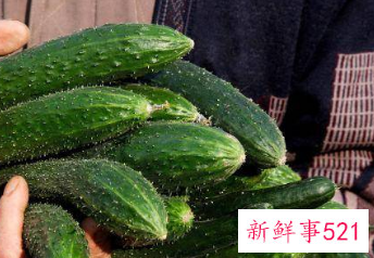 黄瓜对人体有什么营养价值