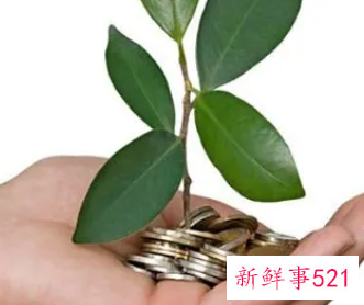 创业要负什么企业社会责任