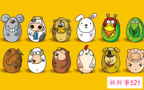 什么属相配什么属相最好