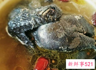 女人滋补身体喝什么汤