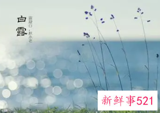 寒露和白露和霜降的区别