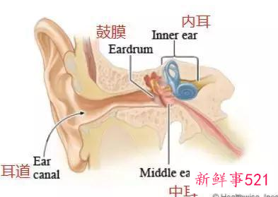 宝宝不爱开口说话