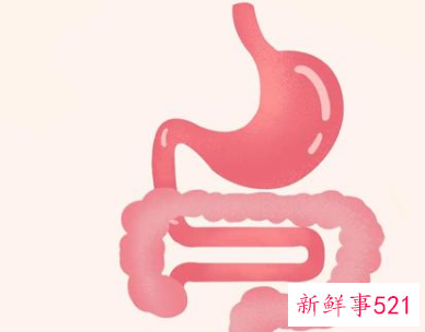 每天大便很规律但不成形