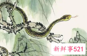 属蛇女人三大弱点