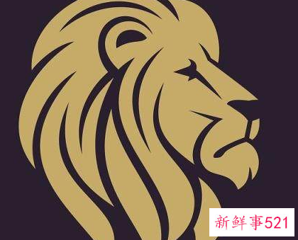 狮子男喜欢怎么样的女人