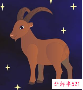 摩羯座女今年运势