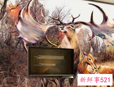 电视墙选什么背景招财