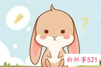 2023年属兔宝宝几月份好