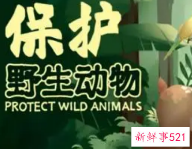 大学生如何保护野生动植物