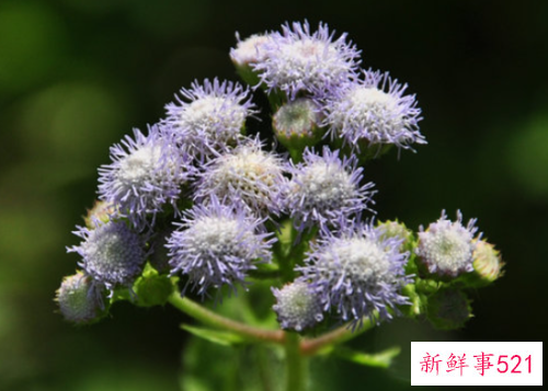 工作感想和心得体会