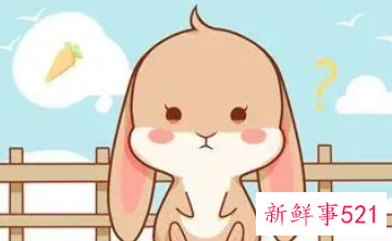 属兔人的小人都什么属相