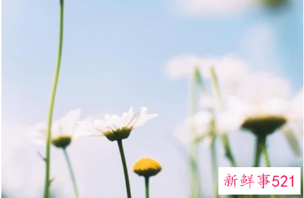 关于智慧的名言警句