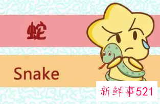 属蛇女人三大弱点