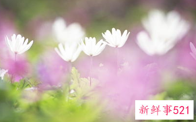 改财运最简单的方法