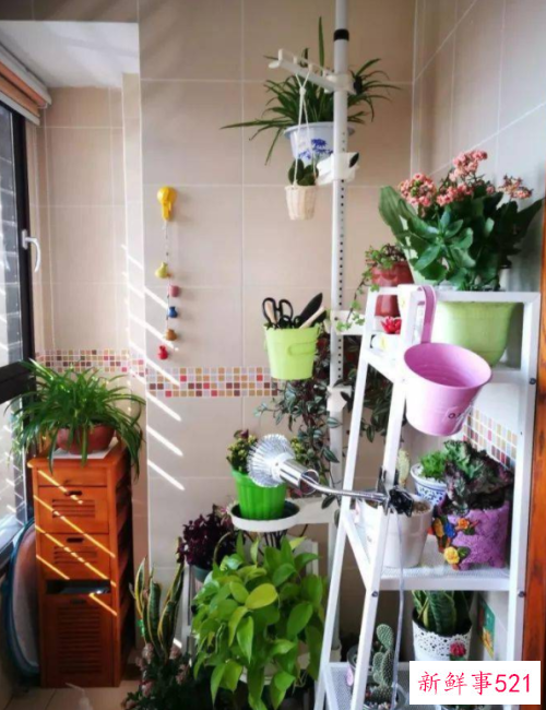 小户型阳台也有春天这样打造秒杀大阳台