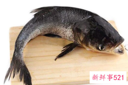 孕妇梦见娃娃鱼是什么意思