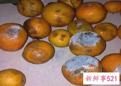 怎样储存桔子不烂