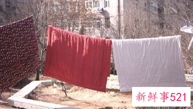 棉被芯被猫尿了不清理可以用吗