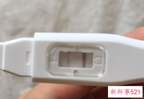验孕棒验孕后结果怎么看
