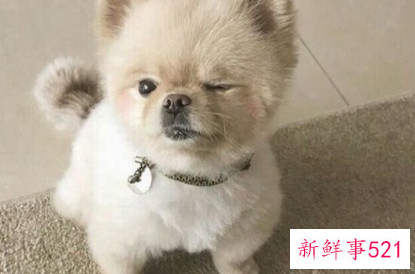 给爱人的昵称备注女