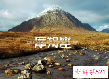 摩羯座感情语录