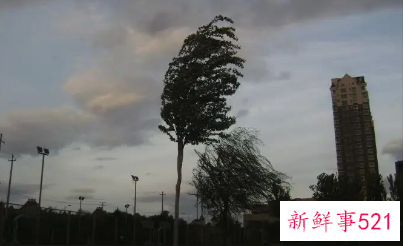 女人梦见风吹自己有点冷