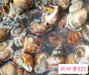 青红萝卜香螺汤