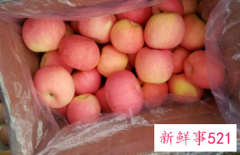 芒果怎么催熟不会有黑点