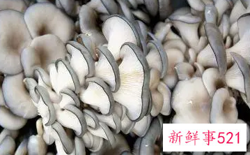 长期吃菌类可以抗癌吗