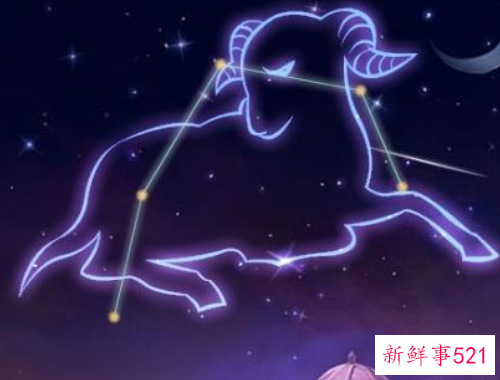不敢跳槽会在一个公司做到头的星座