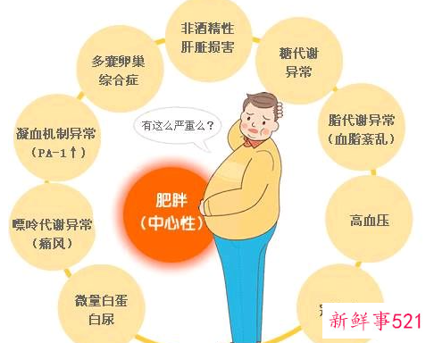 肥胖对身体的危害有哪些的