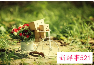 有创意搞笑昵称