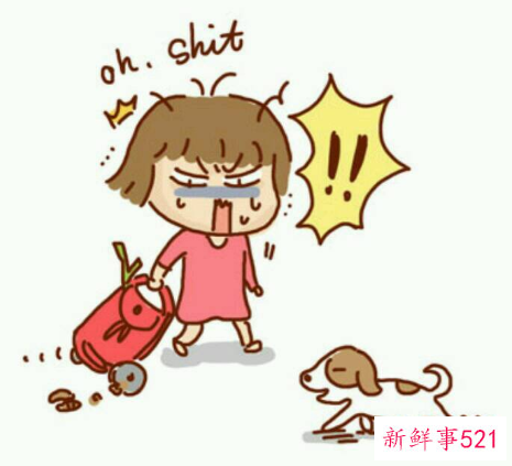 梦见狗屎代表什么意思