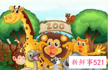 小小动物园作文四年级500字