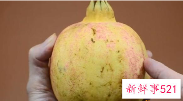 挑选什么样的石榴好吃