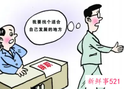 领导照顾你是什么意思