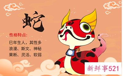 属蛇买几楼的选择