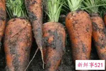 梦见洗萝卜上的土什么意思