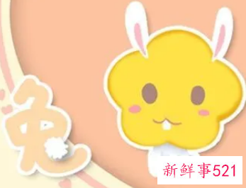 2023年属兔宝宝几月份好