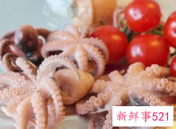 鱿鱼的功效作用