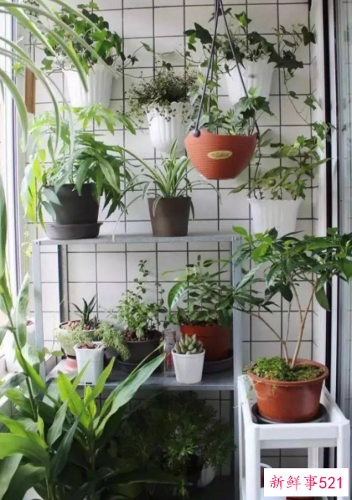 小户型阳台也有春天这样打造秒杀大阳台