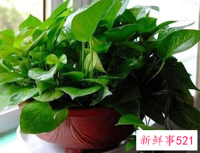 甲醛超标的10个征兆